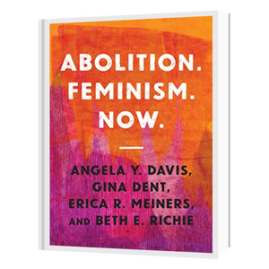
                  
                    November: Abolition. Feminism. Now by Angela Y. Davis, Gina Dent et al
                  
                